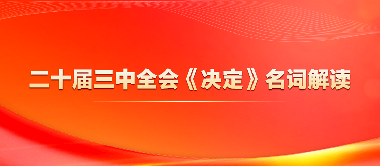二十届三中全会《决定》系列名词解读